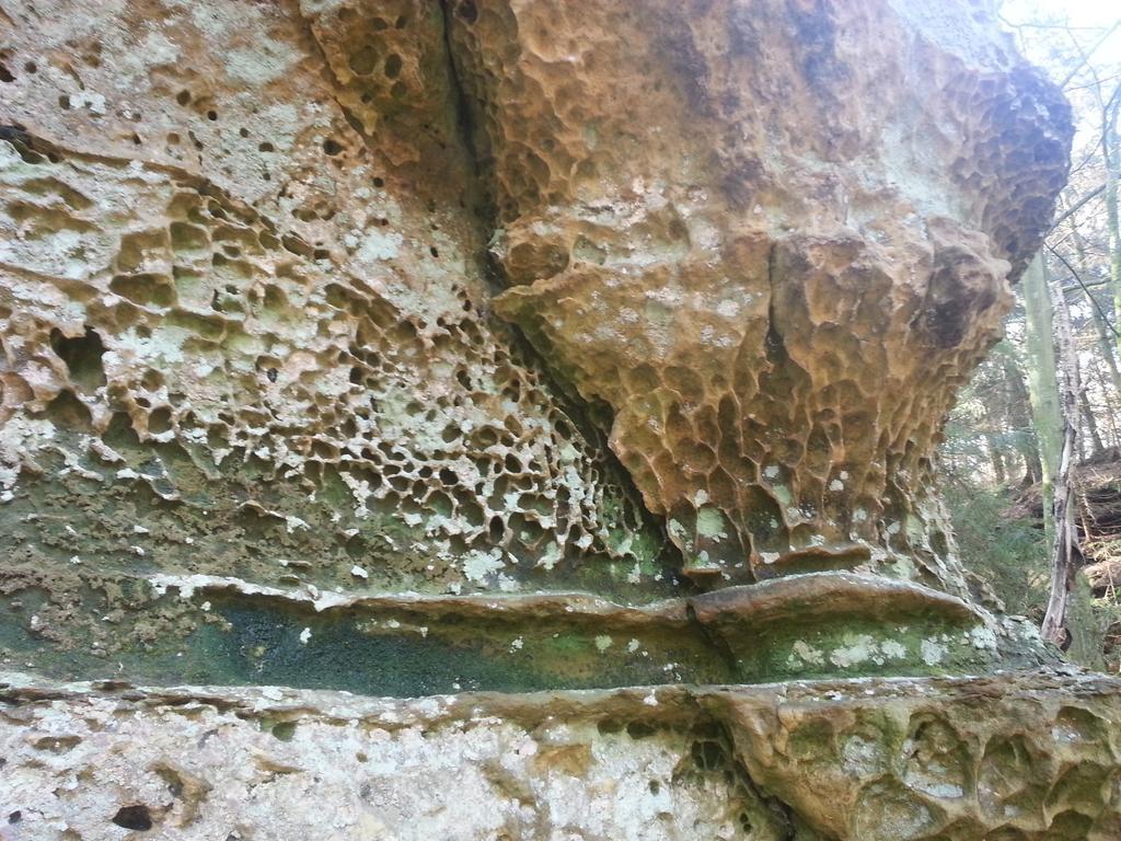 Hotel Ritschlay Bollendorf Dış mekan fotoğraf